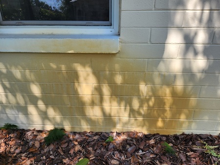 How Often Should You Pressure Wash a House in Central Florida?