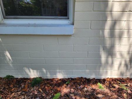 How often should you pressure wash a house in central florida